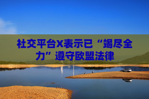 社交平台X表示已“竭尽全力”遵守欧盟法律  第1张