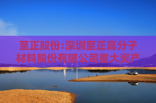 至正股份:深圳至正高分子材料股份有限公司重大资产置换、发行股份及支付现金购买资产并募集配套资金暨关联交易报告书（草案）（申报稿）  第1张