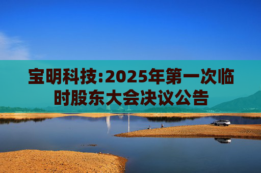 宝明科技:2025年第一次临时股东大会决议公告