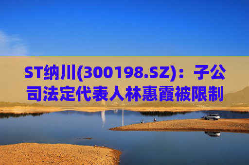 ST纳川(300198.SZ)：子公司法定代表人林惠霞被限制高消费