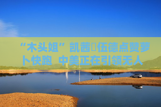 “木头姐”凯茜・伍德点赞萝卜快跑  中美正在引领无人驾驶的发展潮流