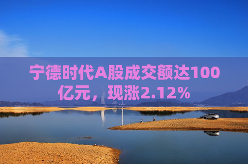 宁德时代A股成交额达100亿元，现涨2.12%