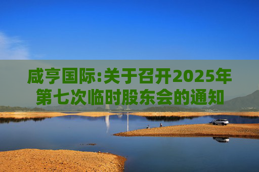 咸亨国际:关于召开2025年第七次临时股东会的通知