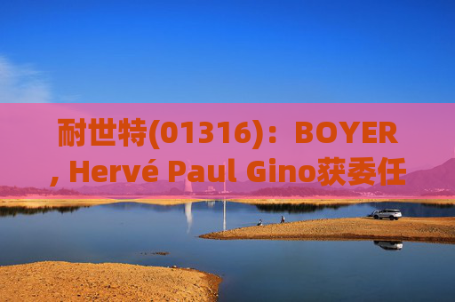 耐世特(01316)：BOYER, Hervé Paul Gino获委任为执行董事
