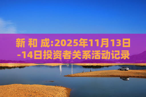 新 和 成:2025年11月13日-14日投资者关系活动记录表