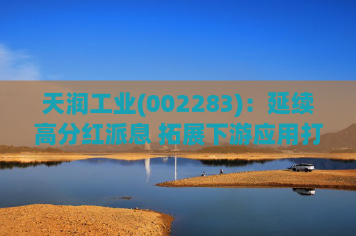 天润工业(002283)：延续高分红派息 拓展下游应用打开成长空间  第1张