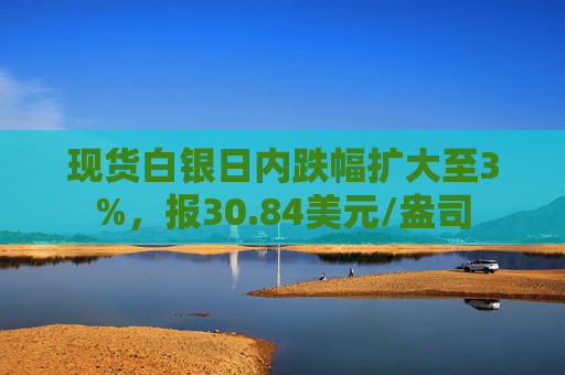 现货白银日内跌幅扩大至3%，报30.84美元/盎司  第1张