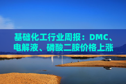 基础化工行业周报：DMC、电解液、磷酸二胺价格上涨 关注反内卷和铬盐