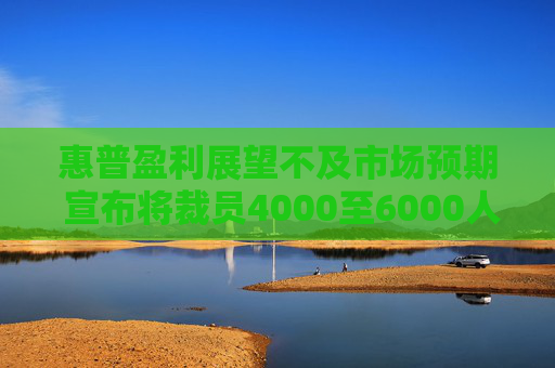 惠普盈利展望不及市场预期 宣布将裁员4000至6000人