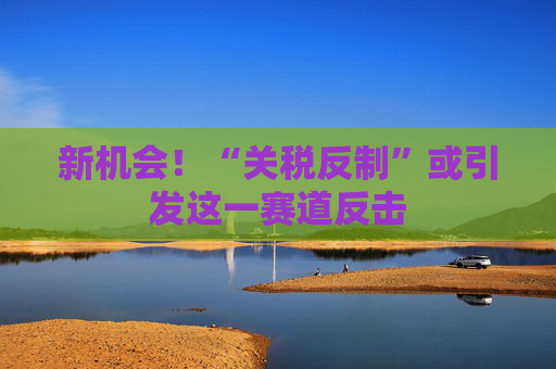 新机会！“关税反制”或引发这一赛道反击