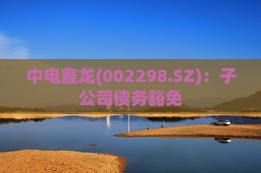 中电鑫龙(002298.SZ)：子公司债务豁免