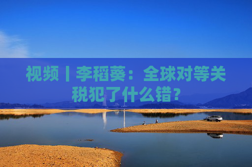 视频丨李稻葵：全球对等关税犯了什么错？