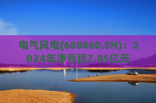 电气风电(688660.SH)：2024年净亏损7.85亿元  第1张