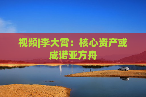 视频|李大霄：核心资产或成诺亚方舟