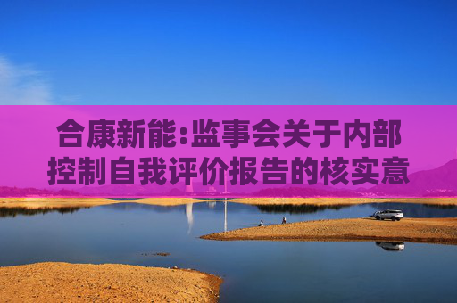 合康新能:监事会关于内部控制自我评价报告的核实意见  第1张