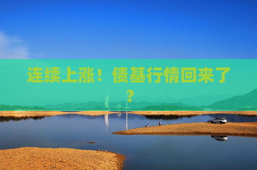 连续上涨！债基行情回来了？