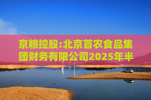 京粮控股:北京首农食品集团财务有限公司2025年半年度风险持续评估报告