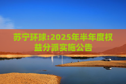 苏宁环球:2025年半年度权益分派实施公告