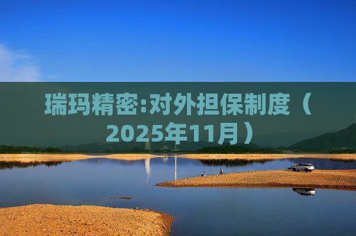 瑞玛精密:对外担保制度（2025年11月）