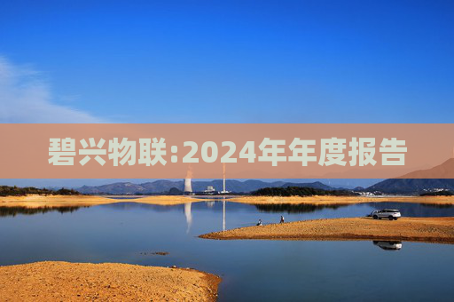 碧兴物联:2024年年度报告