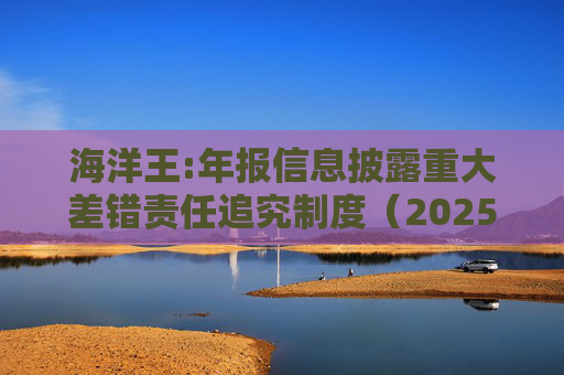 海洋王:年报信息披露重大差错责任追究制度（2025年12月）