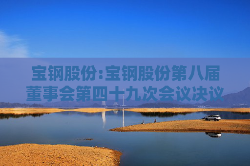 宝钢股份:宝钢股份第八届董事会第四十九次会议决议公告  第1张