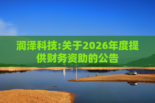 润泽科技:关于2026年度提供财务资助的公告
