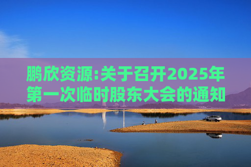 鹏欣资源:关于召开2025年第一次临时股东大会的通知