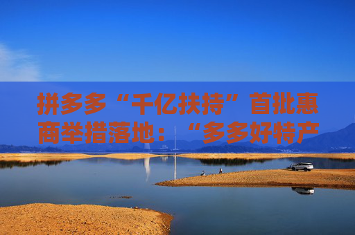 拼多多“千亿扶持”首批惠商举措落地：“多多好特产”等专项启动