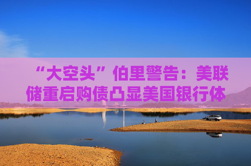 “大空头”伯里警告：美联储重启购债凸显美国银行体系脆弱