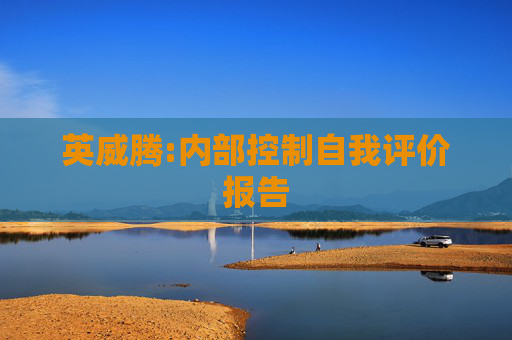 英威腾:内部控制自我评价报告