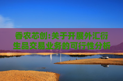 香农芯创:关于开展外汇衍生品交易业务的可行性分析报告  第1张