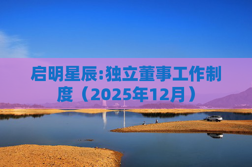 启明星辰:独立董事工作制度（2025年12月）
