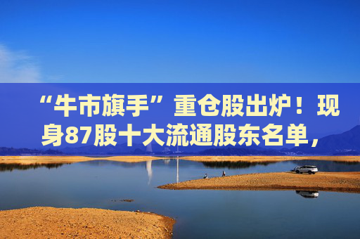 “牛市旗手”重仓股出炉！现身87股十大流通股东名单，新进46股  第1张