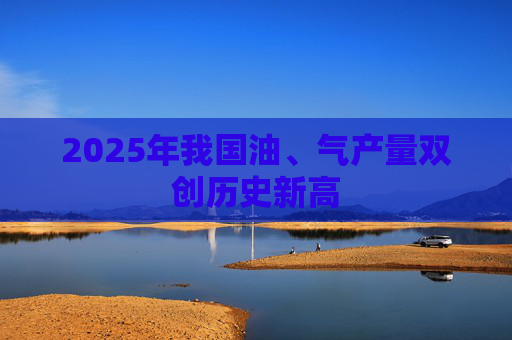 2025年我国油、气产量双创历史新高