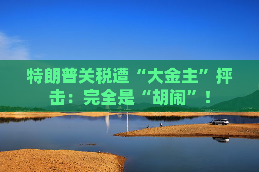 特朗普关税遭“大金主”抨击：完全是“胡闹”！  第1张