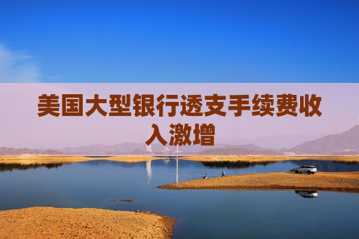 美国大型银行透支手续费收入激增