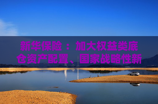 新华保险 ：加大权益类底仓资产配置、国家战略性新兴产业股权投资力度  第1张