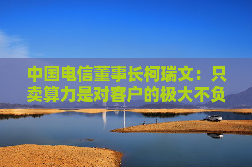 中国电信董事长柯瑞文：只卖算力是对客户的极大不负责