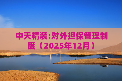 中天精装:对外担保管理制度（2025年12月）