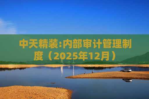 中天精装:内部审计管理制度（2025年12月）