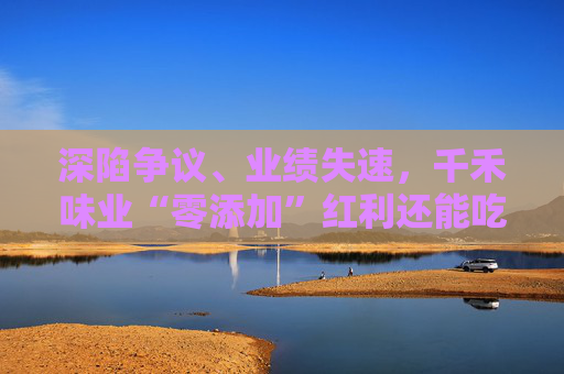 深陷争议、业绩失速，千禾味业“零添加”红利还能吃多久