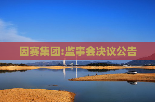 因赛集团:监事会决议公告  第1张