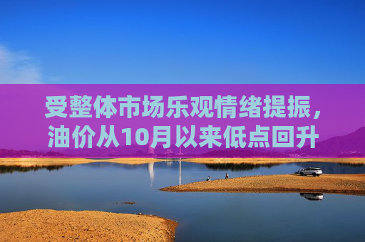 受整体市场乐观情绪提振,油价从10月以来低点回升