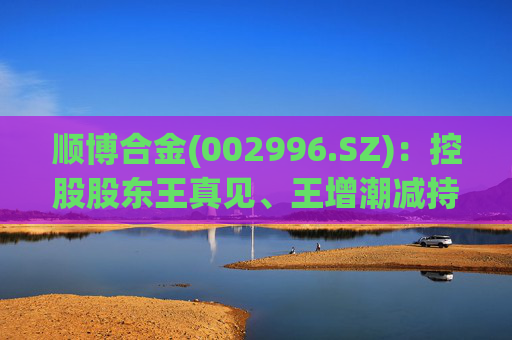 顺博合金(002996.SZ)：控股股东王真见、王增潮减持1371.88万股公司股份