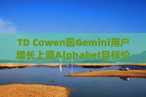 TD Cowen因Gemini用户增长上调Alphabet目标价