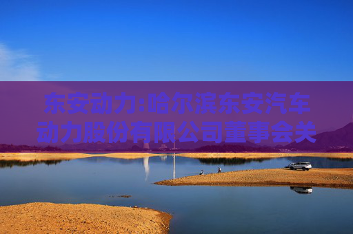 东安动力:哈尔滨东安汽车动力股份有限公司董事会关于独立董事独立性情况的评估报告  第1张