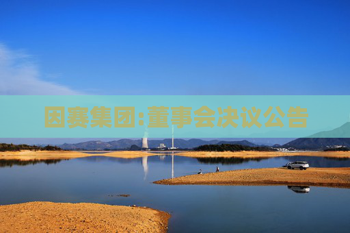 因赛集团:董事会决议公告  第1张