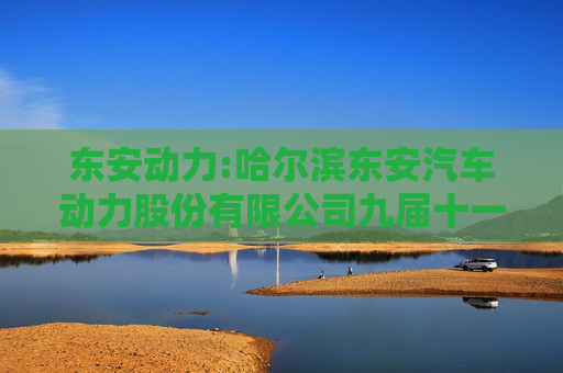 东安动力:哈尔滨东安汽车动力股份有限公司九届十一董事会会议决议公告