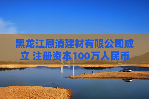 黑龙江恩清建材有限公司成立 注册资本100万人民币  第1张
